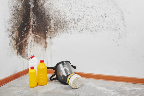 Best Mold Cleaning Services  in Marlin, TX