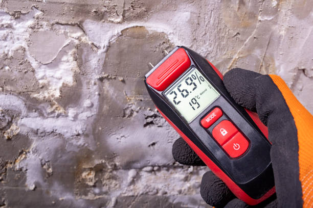 Best Commercial Mold Removal  in Marlin, TX