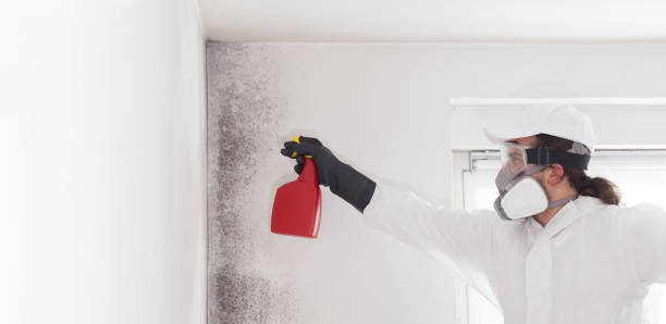 Best Local Mold Removal Service  in Marlin, TX