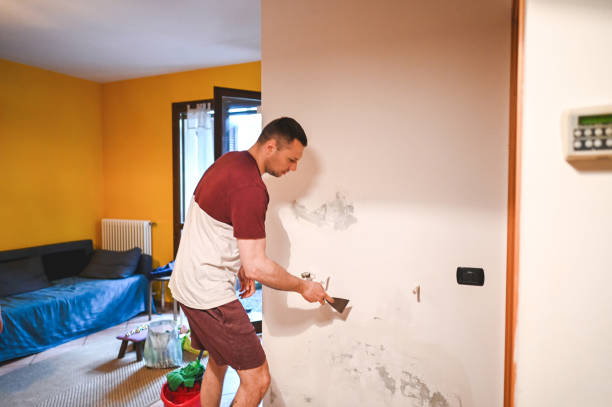 Trusted Marlin, TX Mold Removal Experts