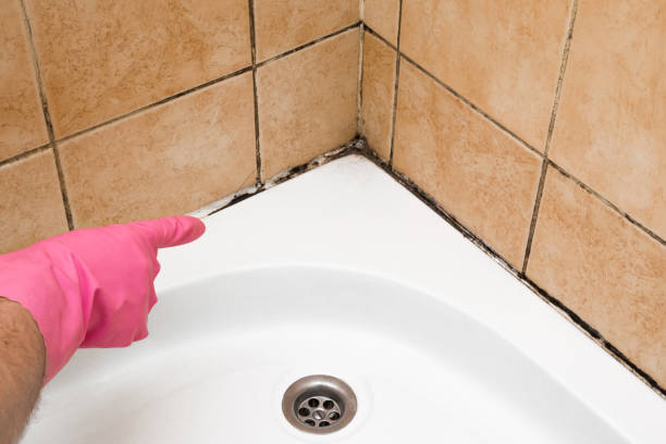 Marlin, TX Mold Removal Pros